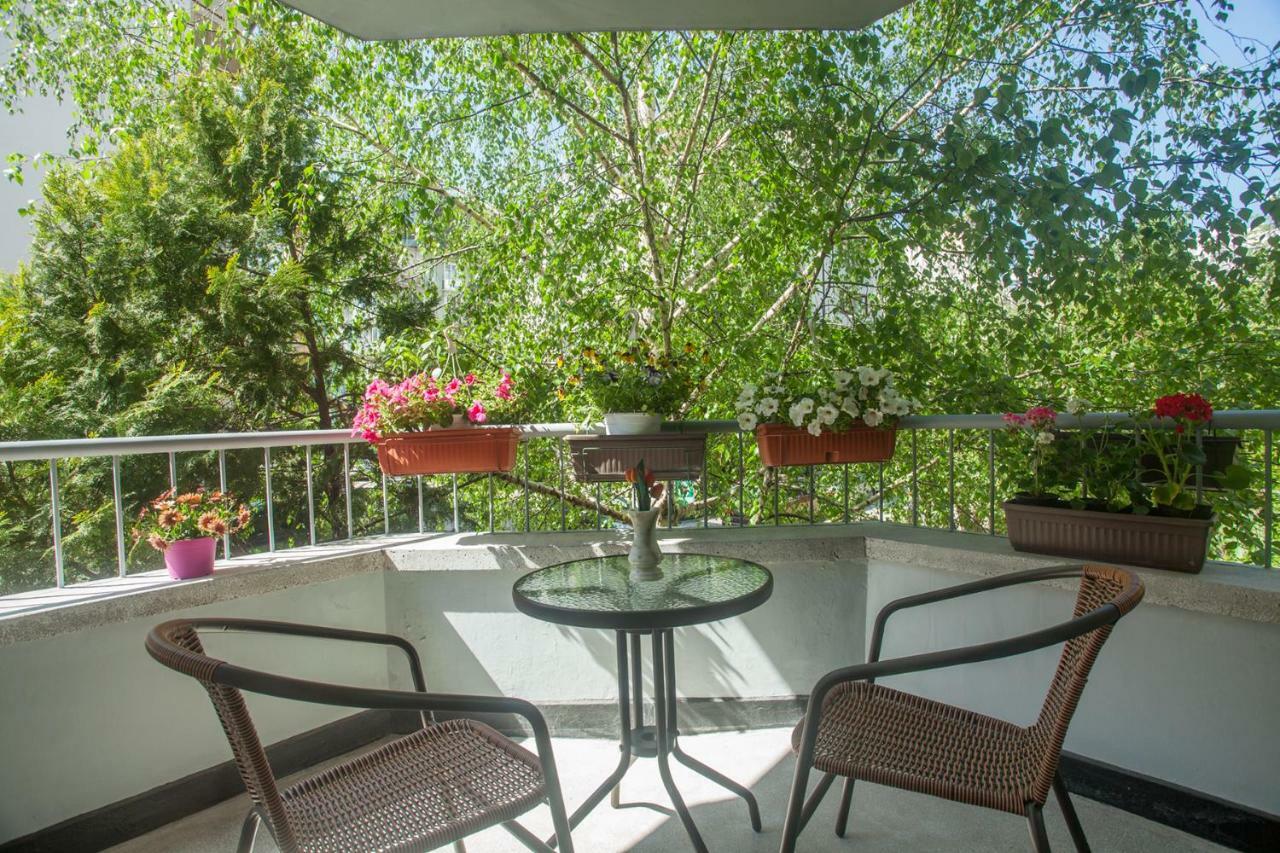 Spacious Flat Close To The American Embassy 索菲亞 外观 照片